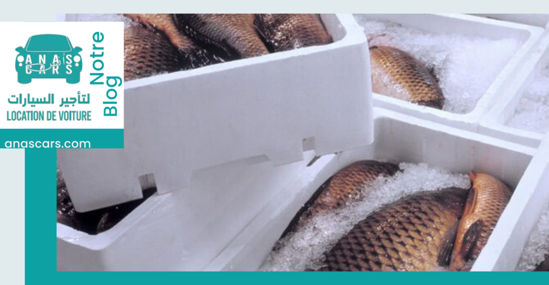 Refrigerated Vehicle Rental MOROCCO Refrigerated Vehicle Rental AGADIR Refrigerated Vehicle Rental TANTAN