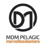 1677252719391-removebg-preview